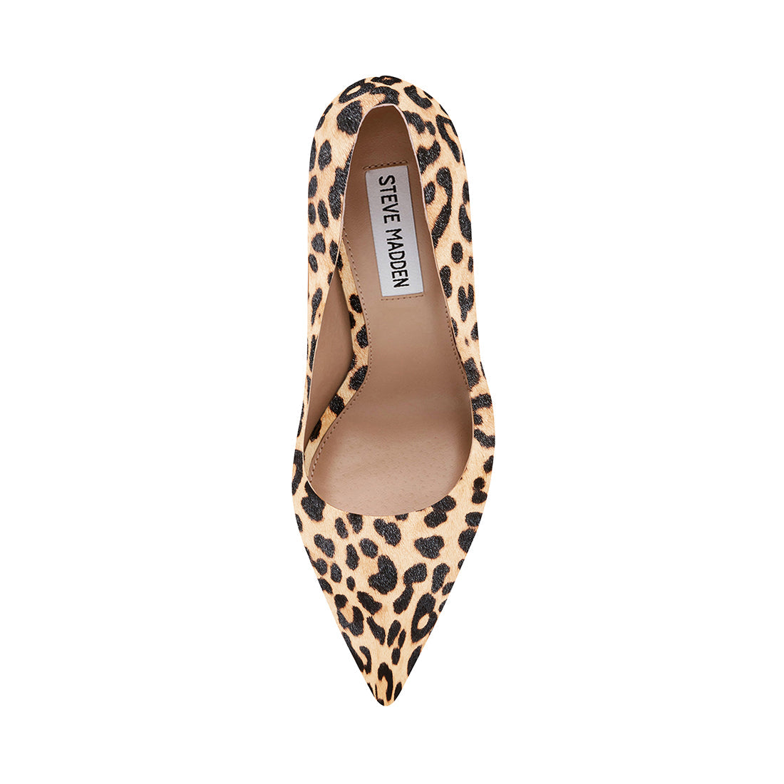 ZYLER LEOPARD - SM REBOOTED