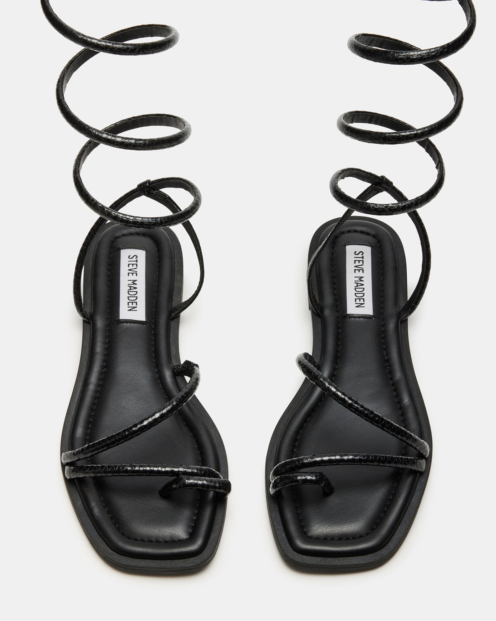 ANTELLE BLACK SNAKE - SM REBOOTED