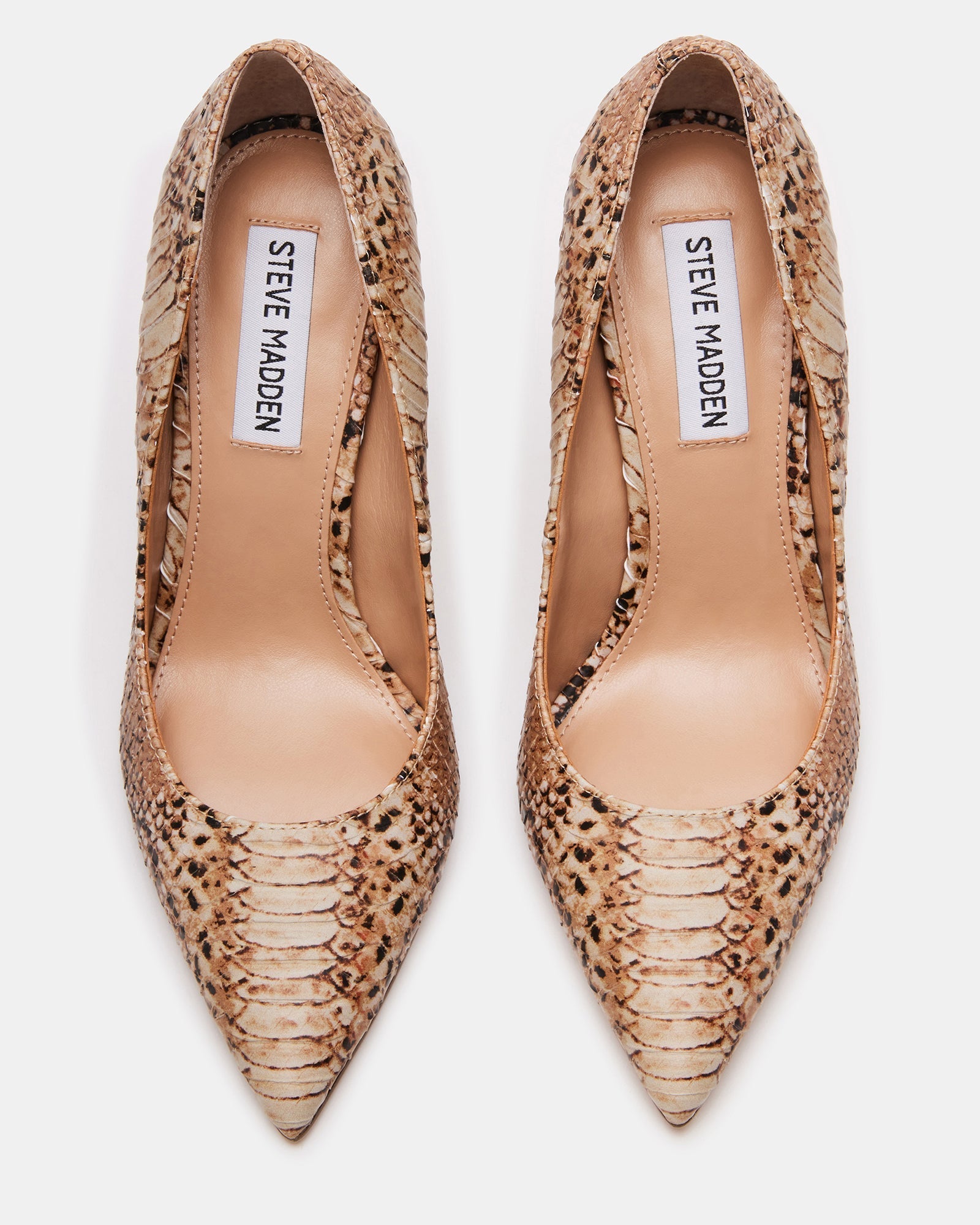 EVELYN BEIGE SNAKE - SM REBOOTED